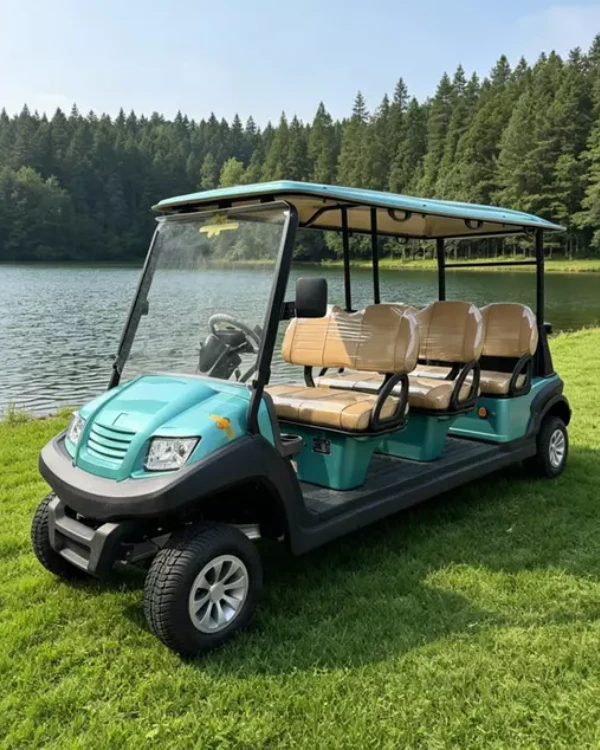 Electric Golf Carts